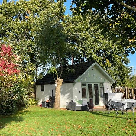 Pheasant Lodge Wimborne Minster Luaran gambar