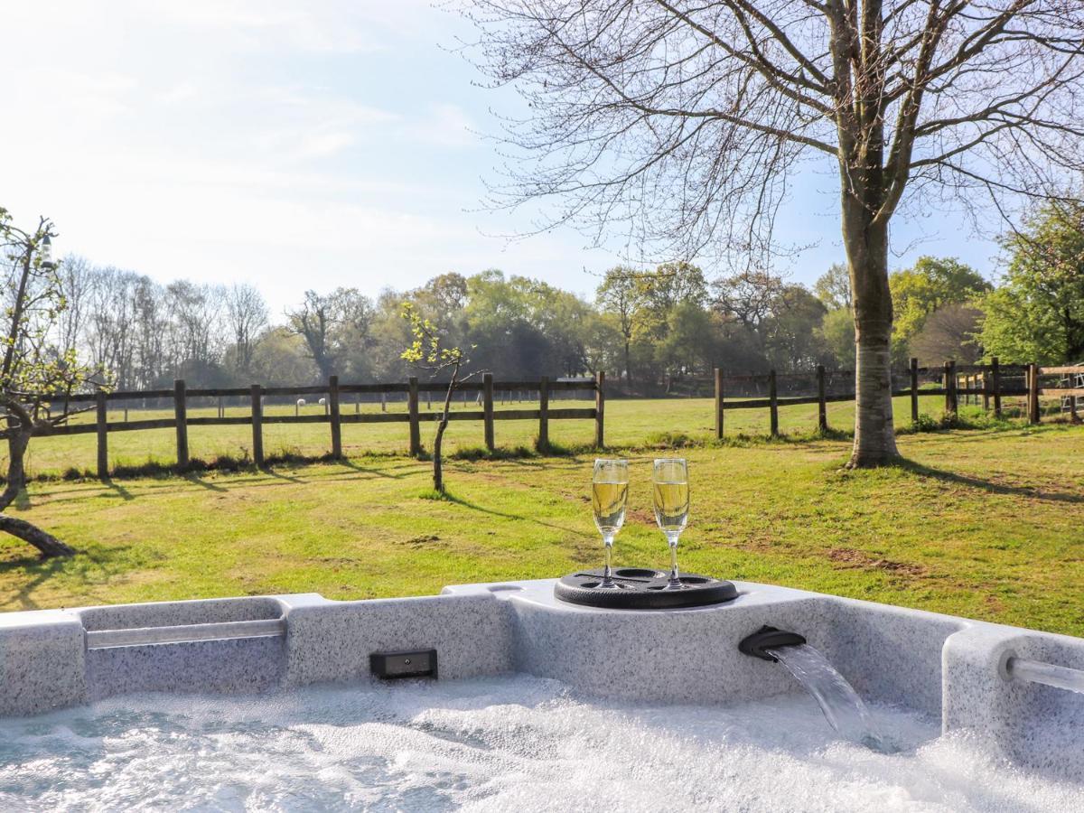 Pheasant Lodge Wimborne Minster Luaran gambar