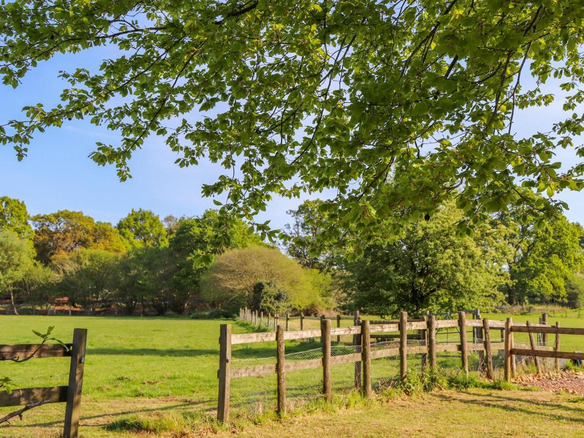 Pheasant Lodge Wimborne Minster Luaran gambar