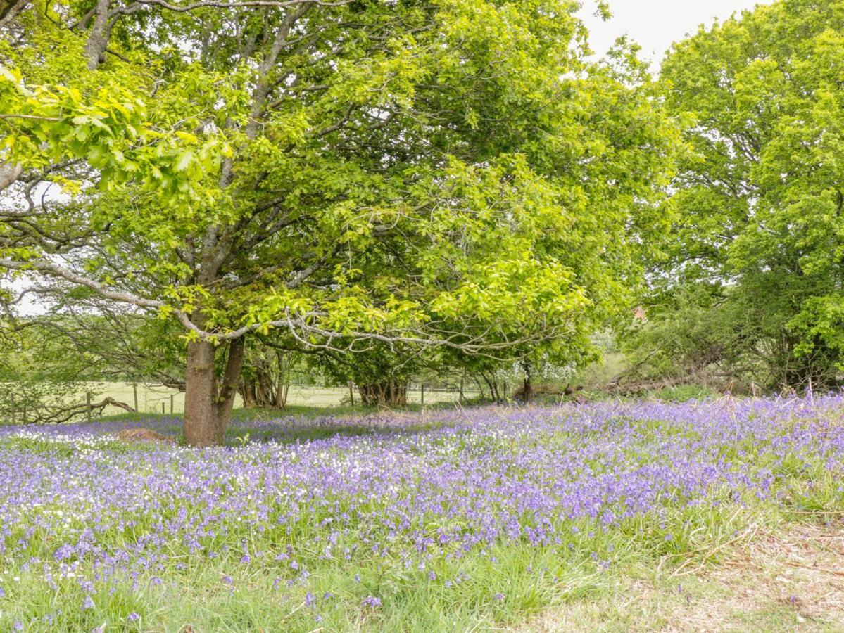 Pheasant Lodge Wimborne Minster Luaran gambar