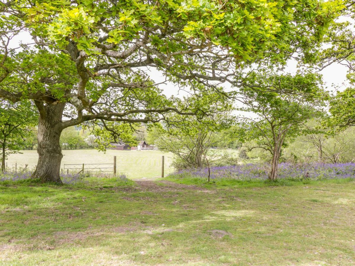 Pheasant Lodge Wimborne Minster Luaran gambar